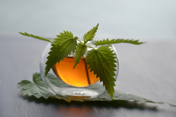 Green Leaves in Clear Glass Cup Green Leaves in Clear Glass Cup