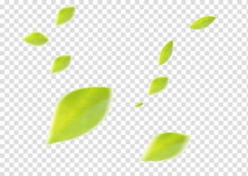 Green leaves , Leaf, Floating Leaf transparent background PNG clipart Green leaves , Leaf, Floating Leaf transparent background PNG clipart