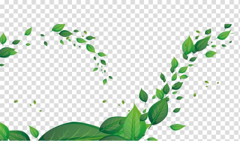 Green leaves , Leaf Green Fundal, Falling leaves transparent background PNG clipart