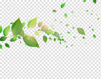 Green leaves , Leaf, Leaves transparent background PNG clipart