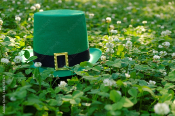 Green leprechaun hat in green clover.Irish traditional spring holiday.Saint Patrick background.St. Patricks Day green blurred background with shamrock leaves.