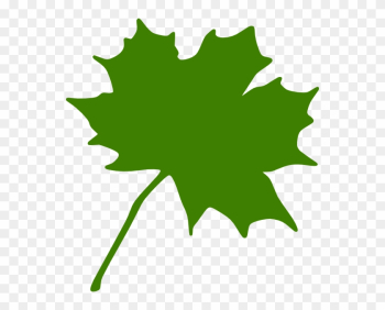 Green - Maple - Leaf - Clipart - Maple Leaf Clip Art Green - Maple - Leaf - Clipart - Maple Leaf Clip Art