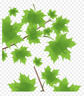 Green Maple Leaf - Maple Leaf Green Maple Leaf - Maple Leaf