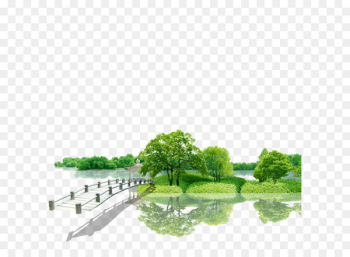 Green Nature Beauty Environment - Beautiful green environment 