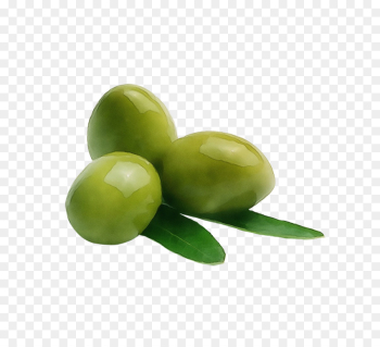 green olive fruit plant food green olive fruit plant food