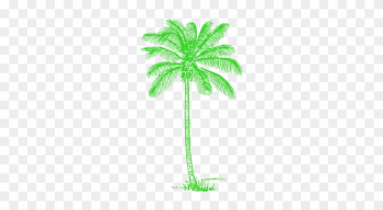 Green Palm Tree Image - Free Palm Tree Drawing