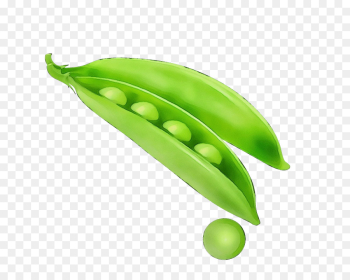 green pea legume snow peas snap pea green pea legume snow peas snap pea