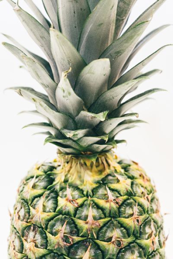 green pineapple fruit green pineapple fruit