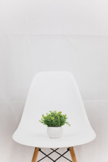 green plant green plant