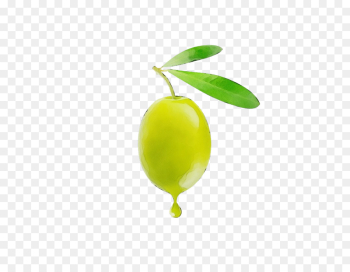 green plant fruit yellow leaf green plant fruit yellow leaf