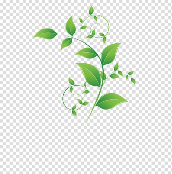 Green plant , Leaf Adobe Illustrator Green, leaf transparent background PNG clipart