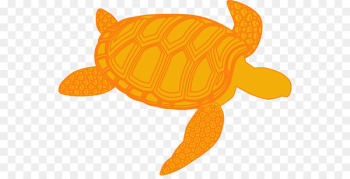 Green sea turtle Clip art - turtle Green sea turtle Clip art - turtle