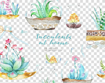 Green succulent plant , Wedding invitation Watercolour Flowers Watercolor painting , Watercolor plants transparent background PNG clipart