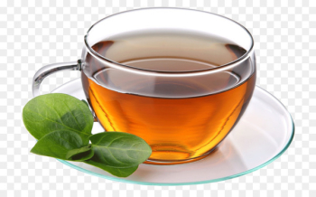 Green tea Coffee Cafe Herbal tea - Tea tea Green tea Coffee Cafe Herbal tea - Tea tea