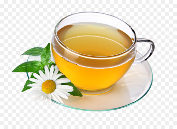 Green tea Herbal tea Drink - Tea PNG Pic Green tea Herbal tea Drink - Tea PNG Pic