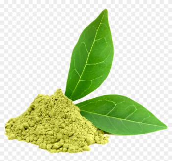 Green Tea Png - Matcha Green Tea Png Green Tea Png - Matcha Green Tea Png