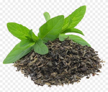 Green Tea Png Transparent Images - Green Tea Leaves Green Tea Png Transparent Images - Green Tea Leaves