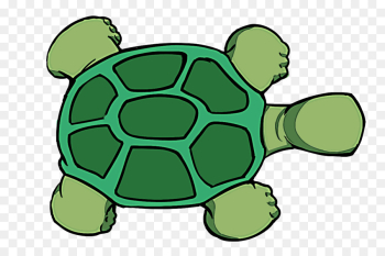green tortoise sea turtle turtle clip art green tortoise sea turtle turtle clip art