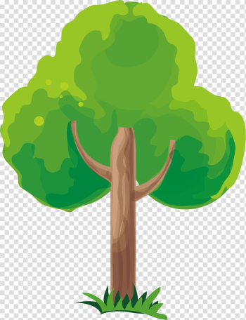 Green tree illustration, trees material transparent background PNG clipart