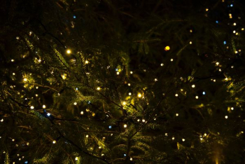 green tree with yellow lights green tree with yellow lights
