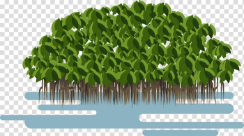 Green trees illustration, Avicennia germinans Loop-root mangrove Avicennia marina Euclidean , lush trees transparent background PNG clipart