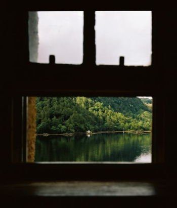 green trees near water view from window green trees near water view from window