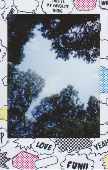 Green Trees Under White Clouds