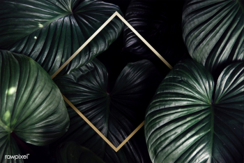 Green tropical background | Free stock psd mockup - 599734 Green tropical background | Free stock psd mockup - 599734