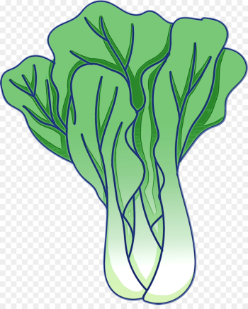 green vegetable leaf plant leaf vegetable green vegetable leaf plant leaf vegetable