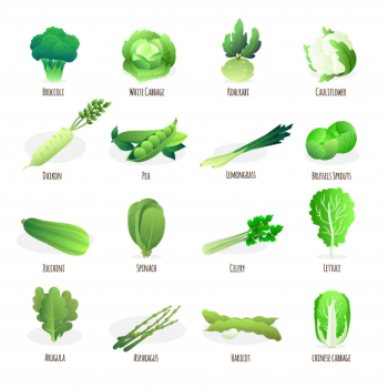 Green vegetables collection Green vegetables collection