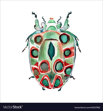 green watercolor beetle watercolor green watercolor beetle watercolor