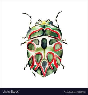green watercolor beetle watercolor green watercolor beetle watercolor