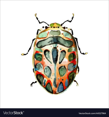 green watercolor beetle watercolor green watercolor beetle watercolor