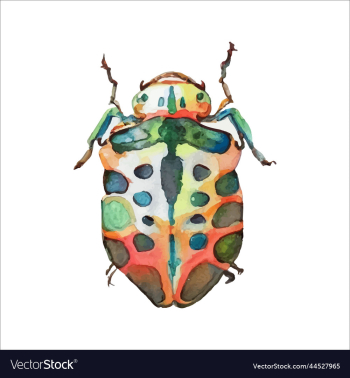 green watercolor beetle watercolor green watercolor beetle watercolor