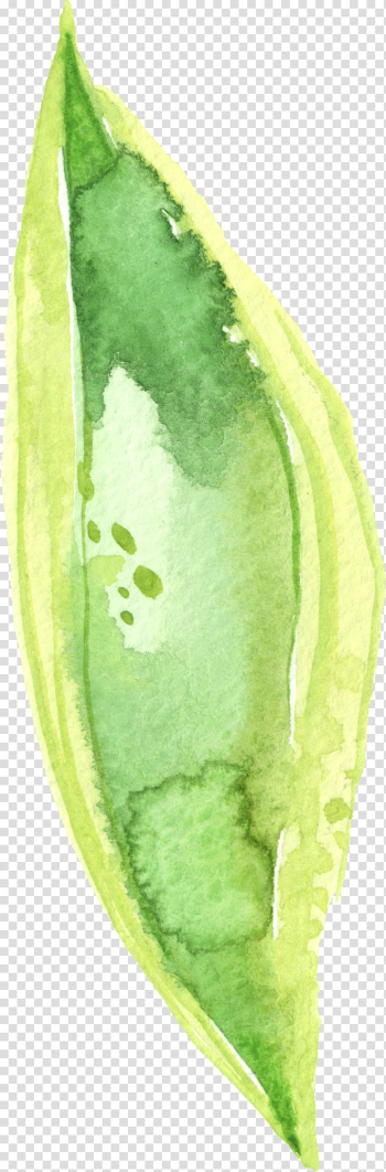 Green Watercolor painting, Floral pattern floral plants transparent background PNG clipart