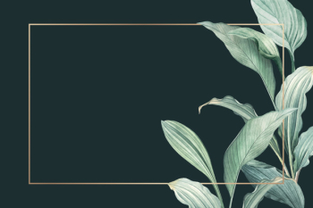 Greenery background Free Vector Greenery background Free Vector