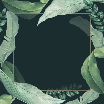 Greenery card Free Vector Greenery card Free Vector