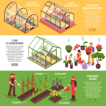Greenhouse banner set Free Vector Greenhouse banner set Free Vector