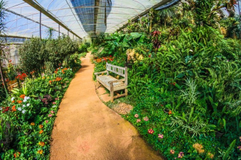 Greenhouse Garden Greenhouse Garden