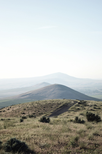 Grey Mountain Grey Mountain