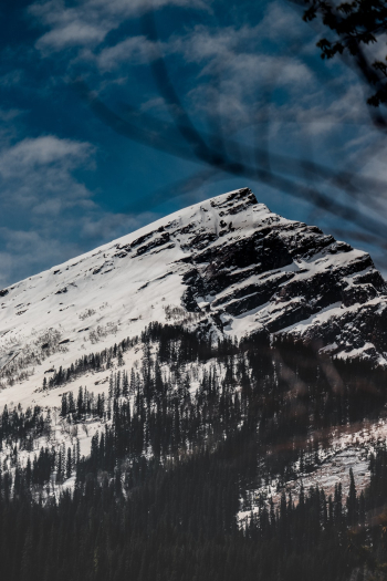 Grey Mountain Grey Mountain