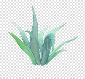 Grey plant drawing, Crystal Chanel Real Estate Estate agent grapher House, watercolor succulent transparent background PNG clipart
