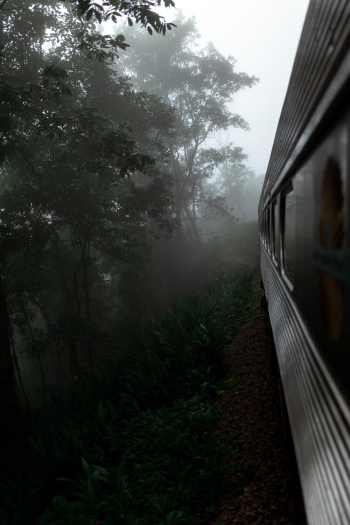 Grey Train Traveling on Foggy Woods Grey Train Traveling on Foggy Woods