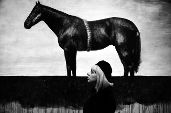 Greyscale Photography of Horse Painting Greyscale Photography of Horse Painting