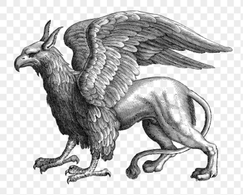 Griffin animal png sticker mythical | Free PNG - rawpixel Griffin animal png sticker mythical | Free PNG - rawpixel