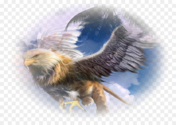 Griffin Legendary creature Mythology Dragon Eagle - Griffin Griffin Legendary creature Mythology Dragon Eagle - Griffin