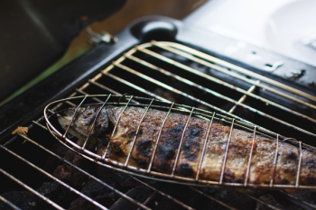 Grilled fish Grilled fish