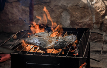 Grilled Fish Grilled Fish
