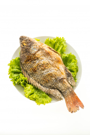 Grilled fresh fish Grilled fresh fish
