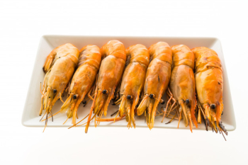 Grilled prawn and shrimp in white plate Grilled prawn and shrimp in white plate